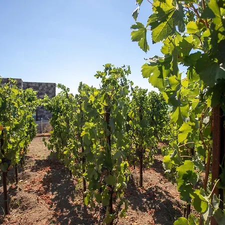 Tenuta Di Castellaro Winery & Rezort *