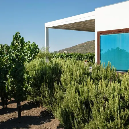 Tenuta Di Castellaro Winery & Rezort Lipari (Isola Lipari)