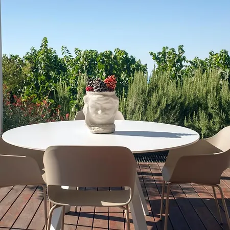 Tenuta Di Castellaro Winery &