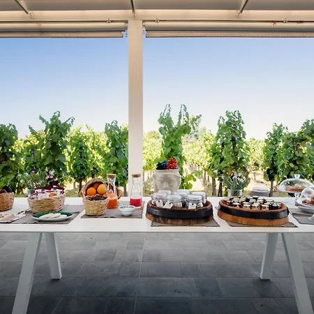 Tenuta Di Castellaro Winery & Rezort