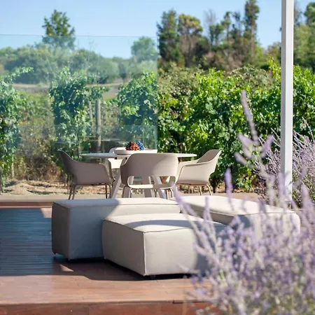 Tenuta Di Castellaro Winery & Lipari (Isola Lipari)