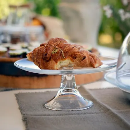 Tenuta Di Castellaro Winery & Rezort