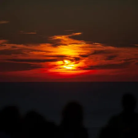 Tenuta Di Castellaro Winery & *