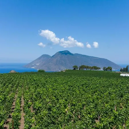 Tenuta Di Castellaro Winery & Rezort *