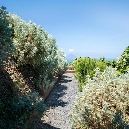 Tenuta Di Castellaro Winery & Rezort *