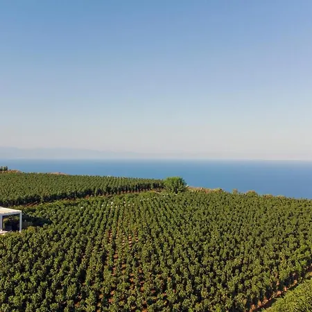 Rezort Tenuta Di Castellaro Winery &