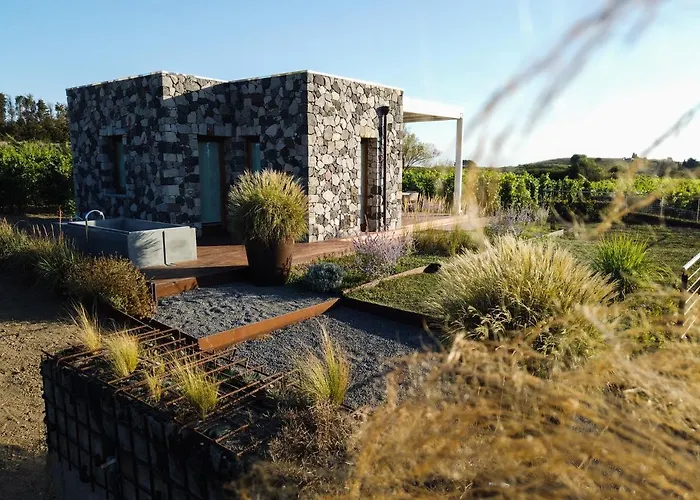 Resort Tenuta Di Castellaro Winery &
