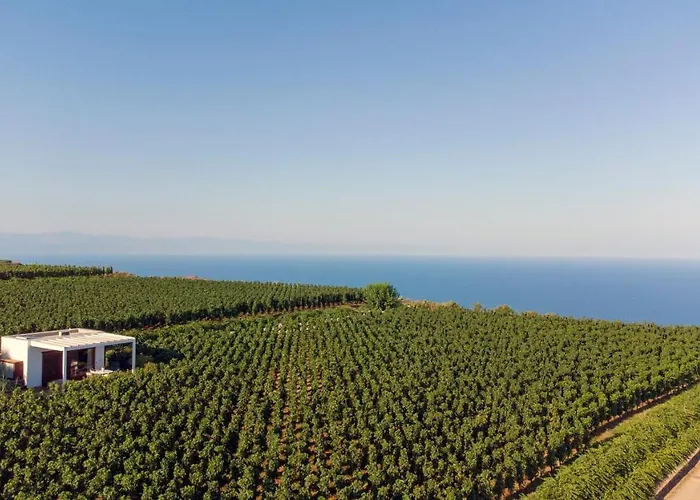 Resort Tenuta Di Castellaro Winery &